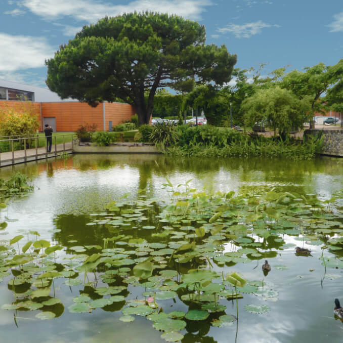 Les Jardins de l'Aéro Colomiers